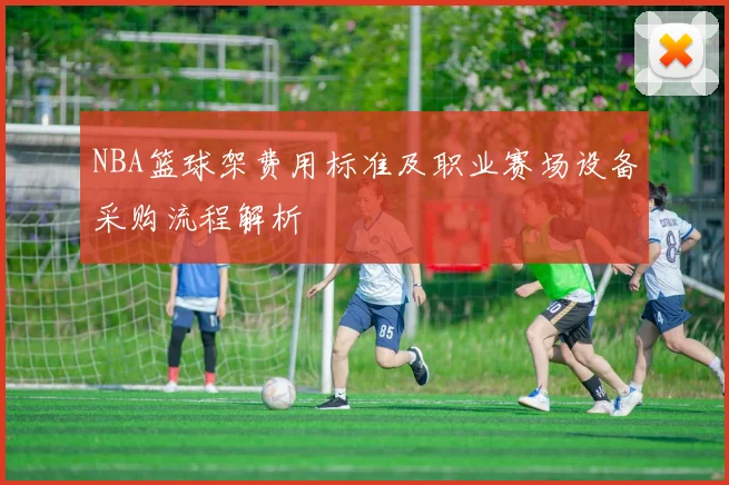 NBA篮球架费用标准及职业赛场设备采购流程解析
