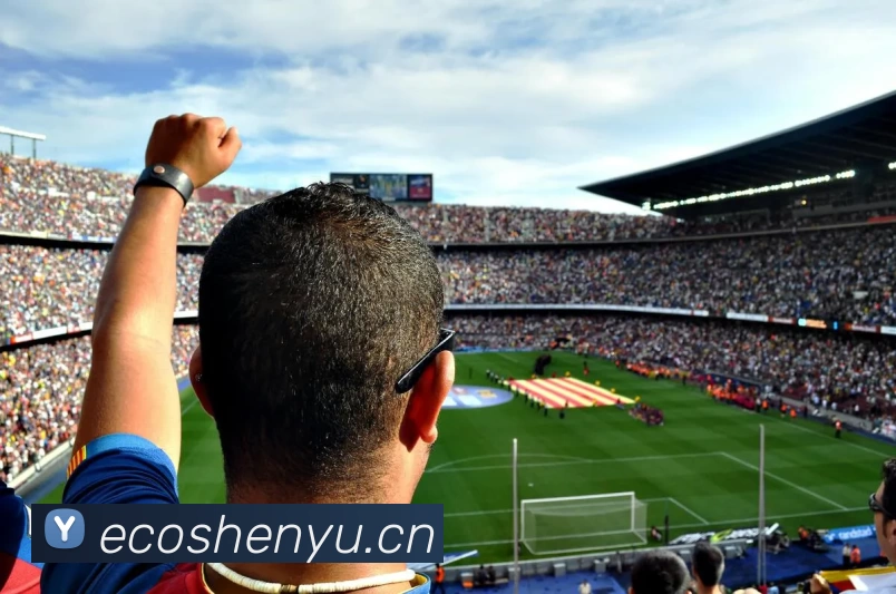 B体育直播·(B - sports)官方网站发展历程